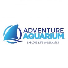 Enjoy the Adventure Aquarium From Home with Online Resources and Educational Fun