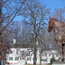Evening Bat Walks at Jockey Hollow Aug. 9 & Sept. 13